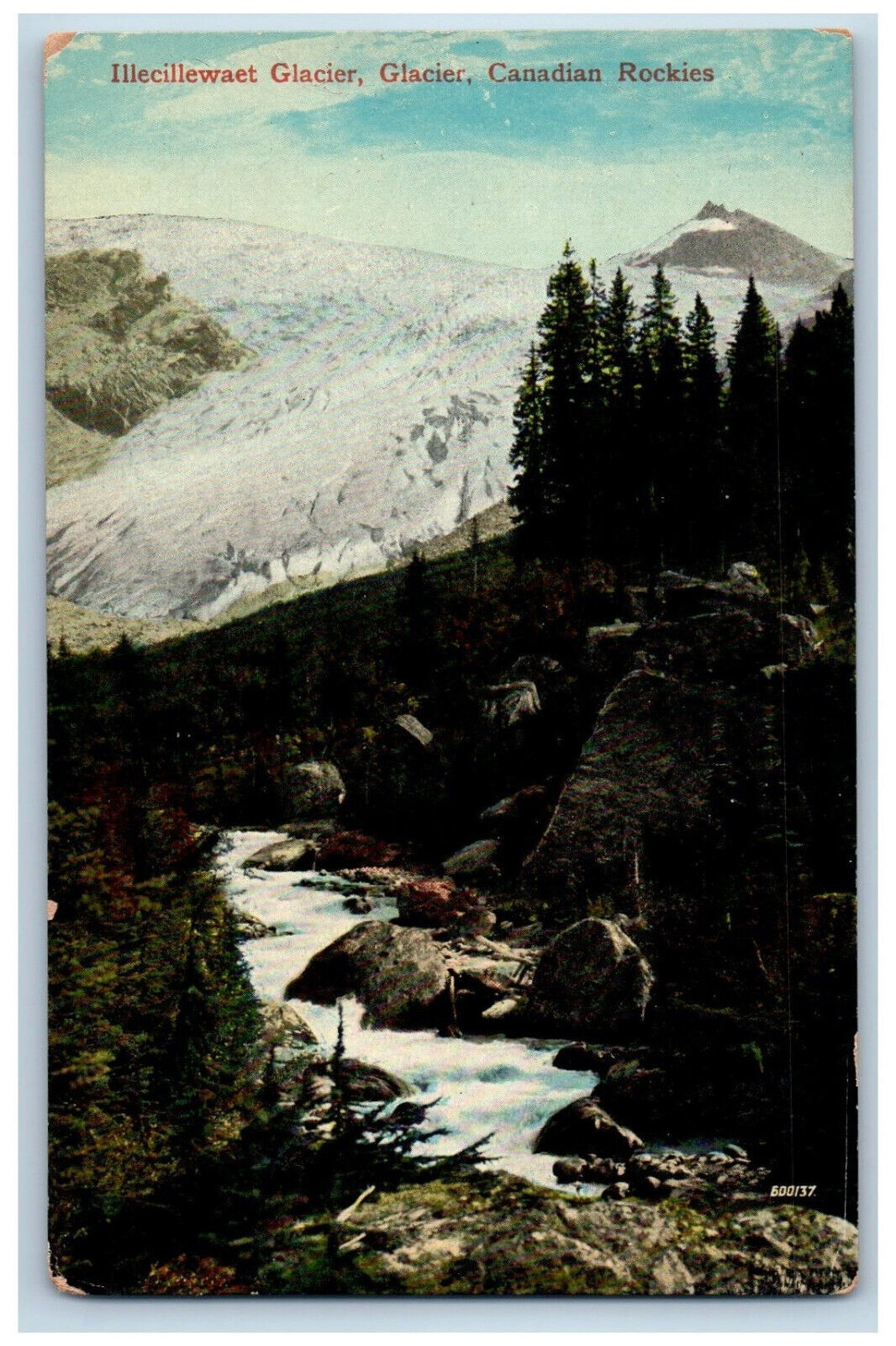 Banff Alberta Canada Postcard Illecillewaet Glacier Canadian Rockies c1910