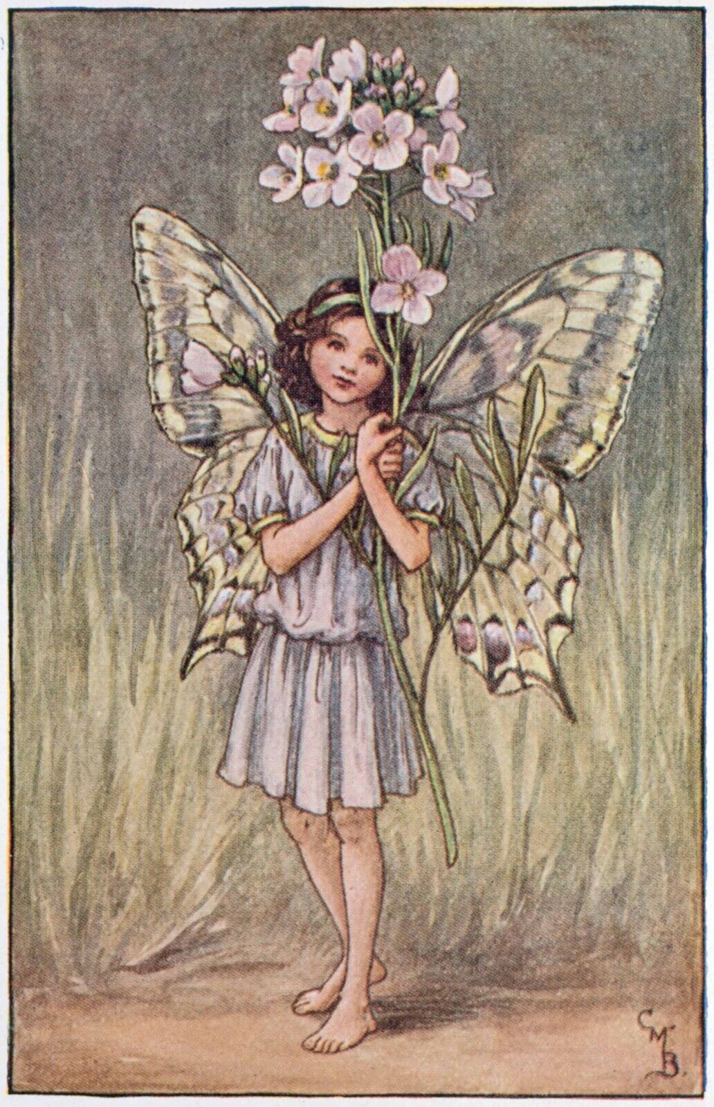 Flower Fairy Postcard: Pretty Mayflower or Lady\'s Smock Fairy with Blossoms