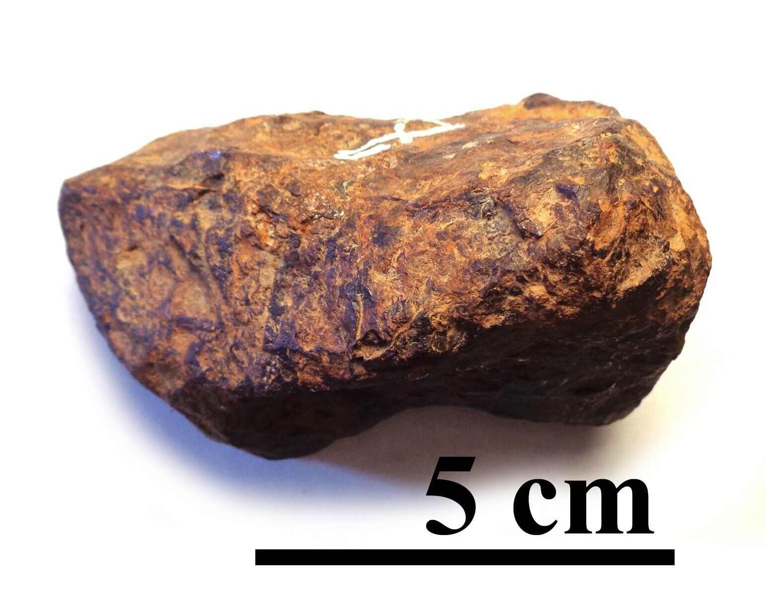 Meteorite Seymchan complete piece that contain olivines, 630 grams