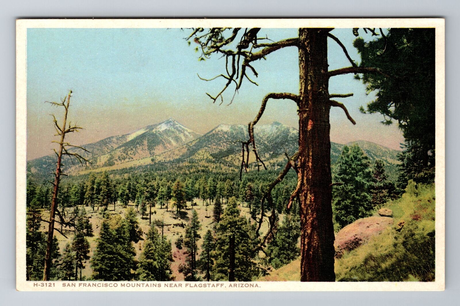 Flagstaff AZ-Arizona, San Francisco Mountains, Antique, Vintage Postcard
