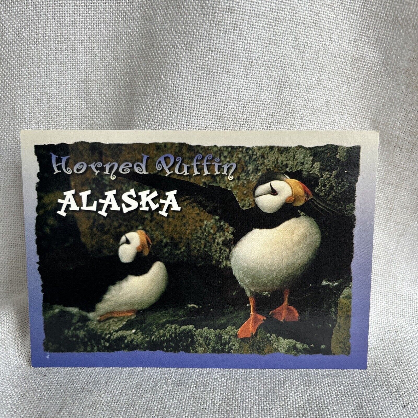 Vintage Alaska Joe Postcard, Horned Puffin