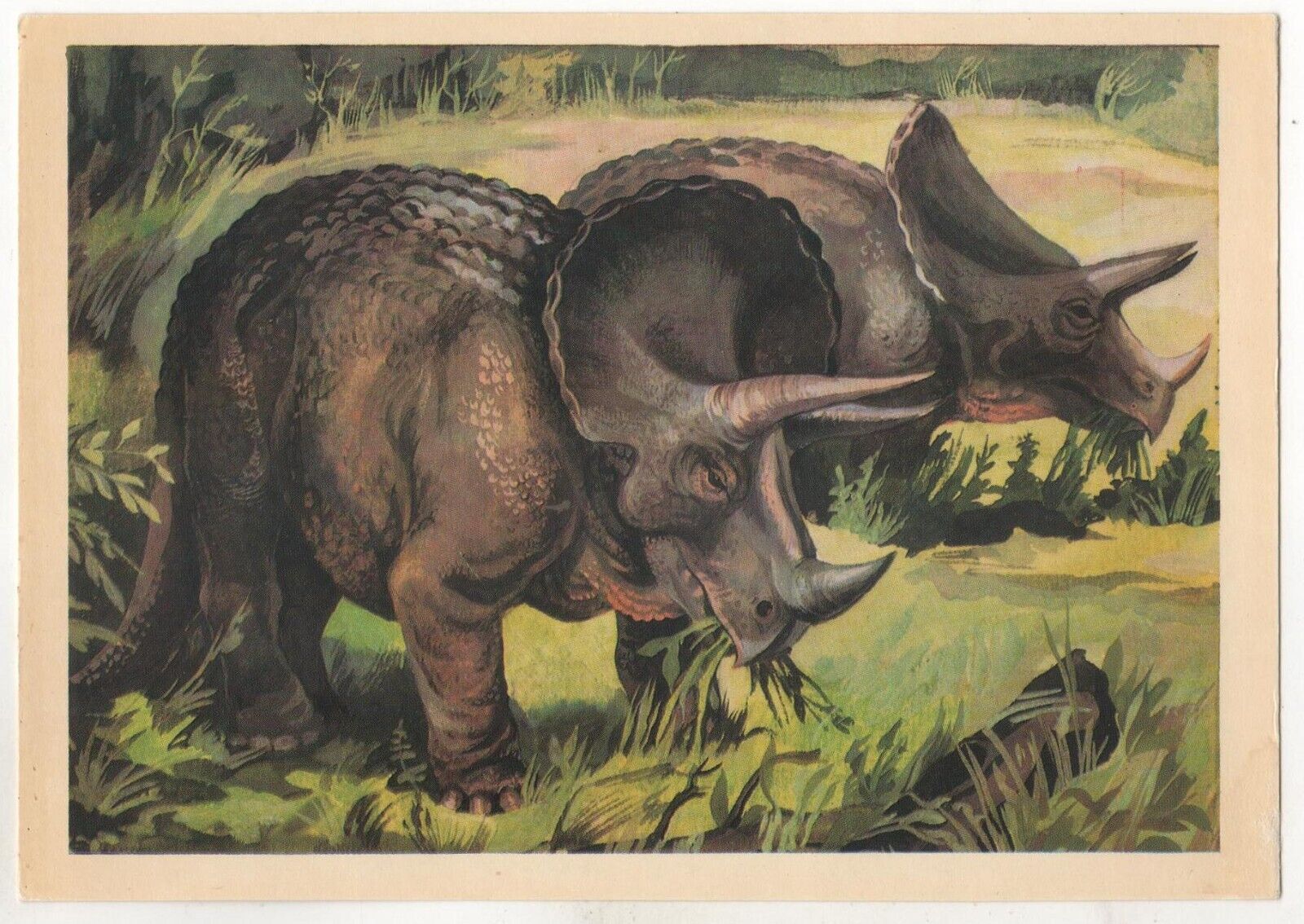 1983 DINOSAURS Triceratops PREHISTORIC ANIMALS PALEONTOLOGY RUSSIA POSTCARD Old