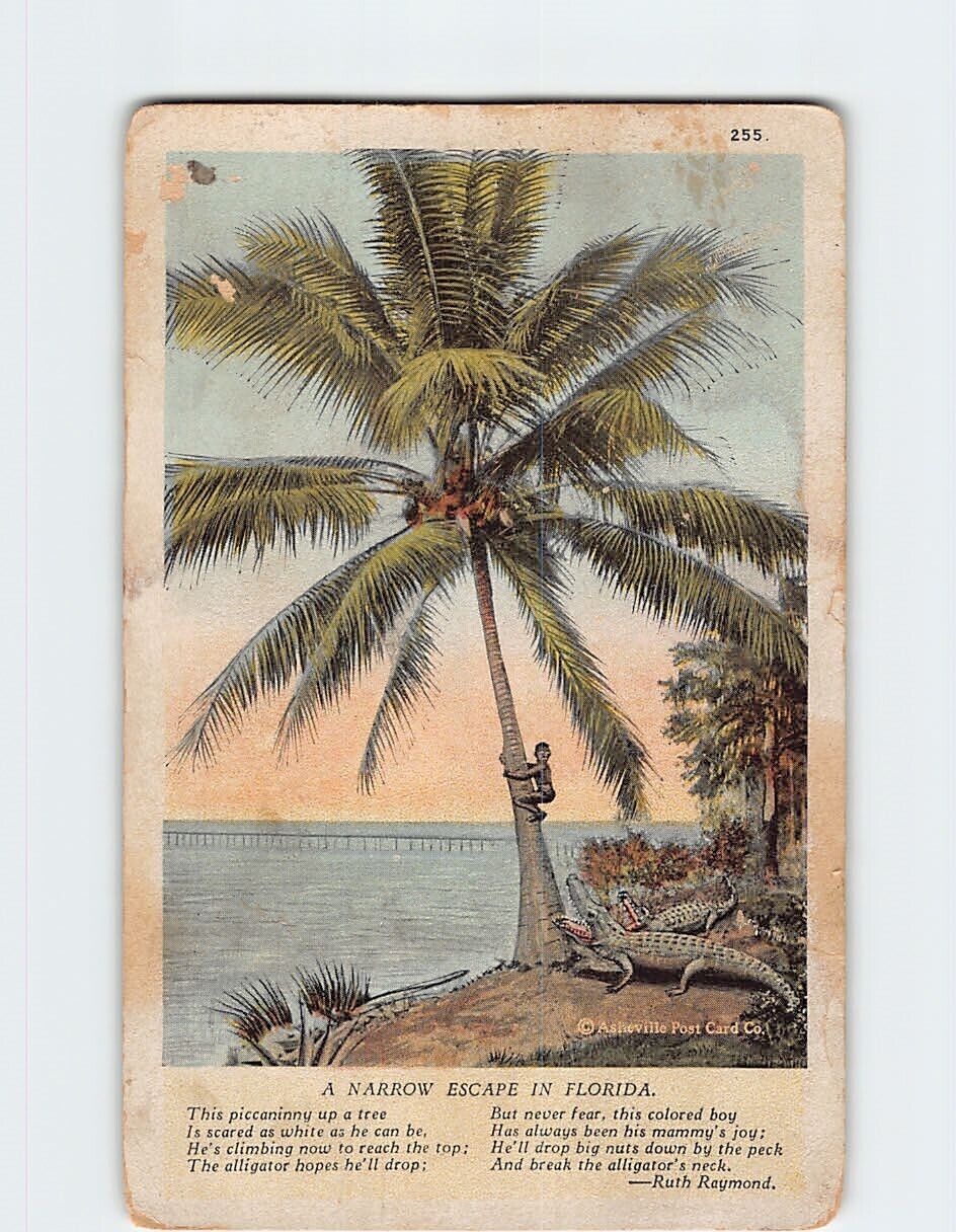 Postcard A Narrow Escape in Florida Poem by Ruth Raymond Florida USA