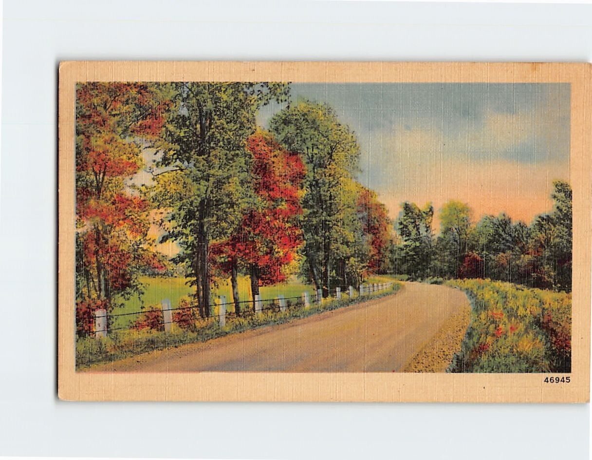 Postcard Beautiful Nature Roadside Scene