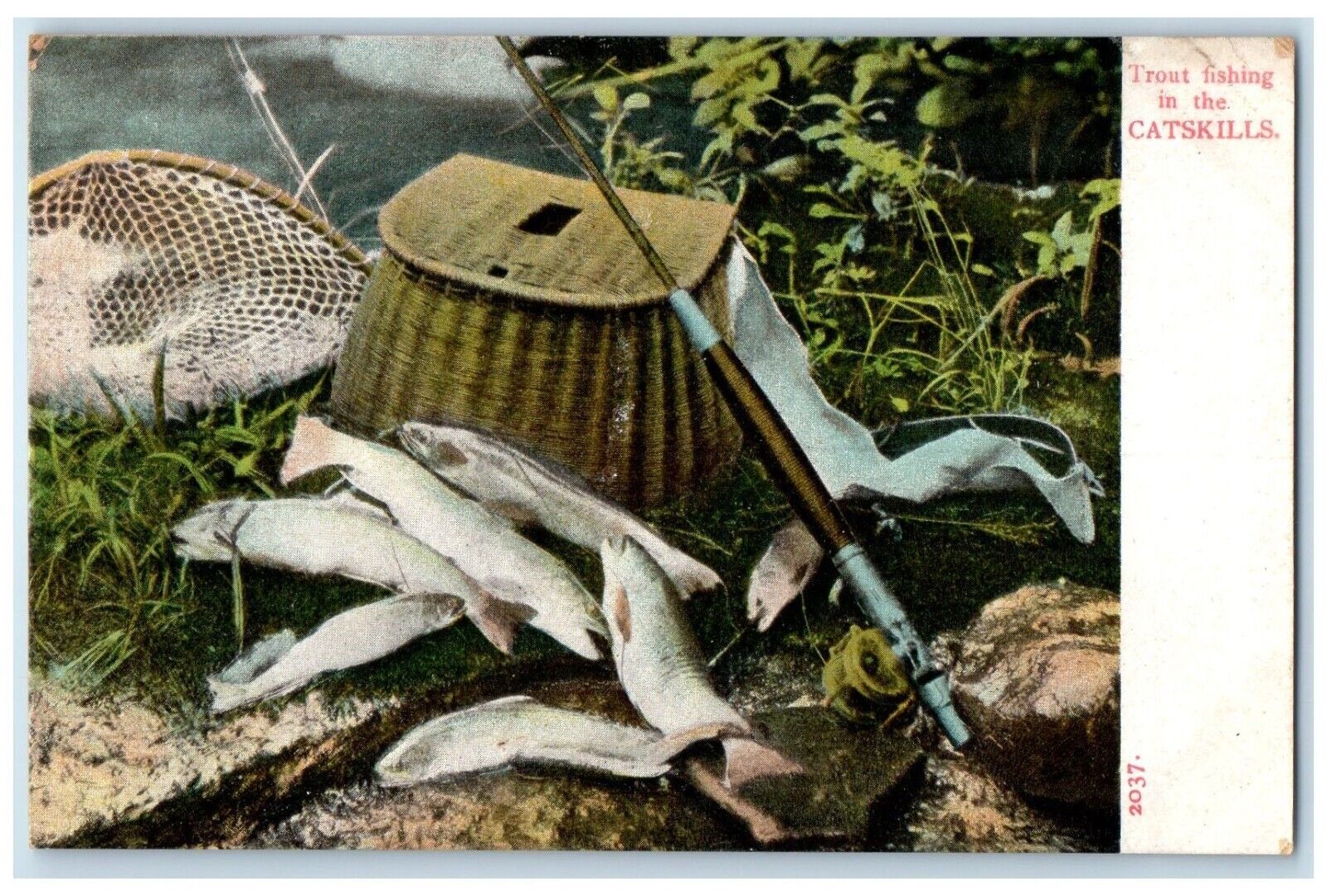 c1905 Trout Fishing In The Catskills Basket Fish Net Unposted Antique Postcard