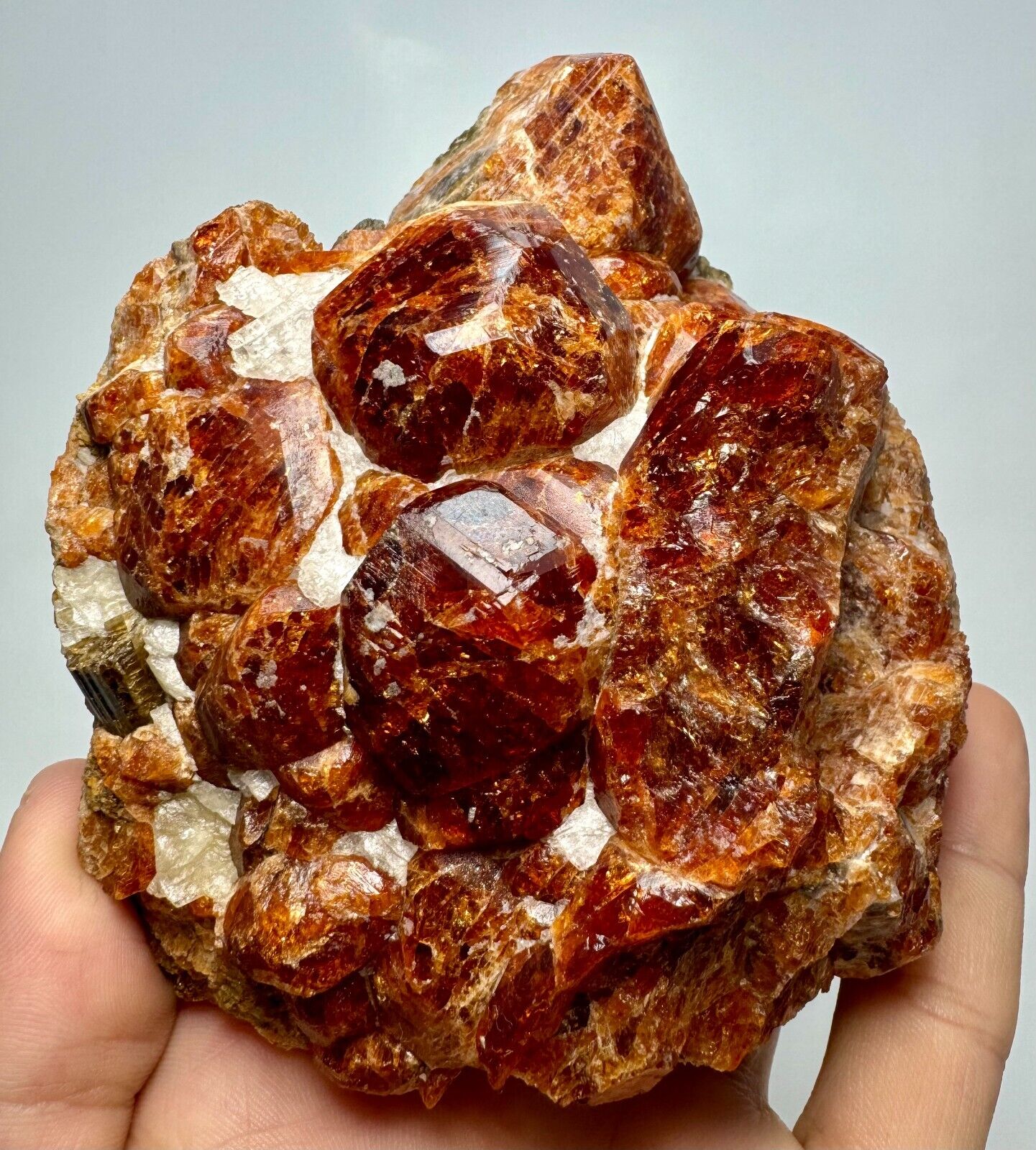 893 Gram Rare Lustrous Hessonite Red Garnet Huge Crystals Bunch On Matrix @PAK.