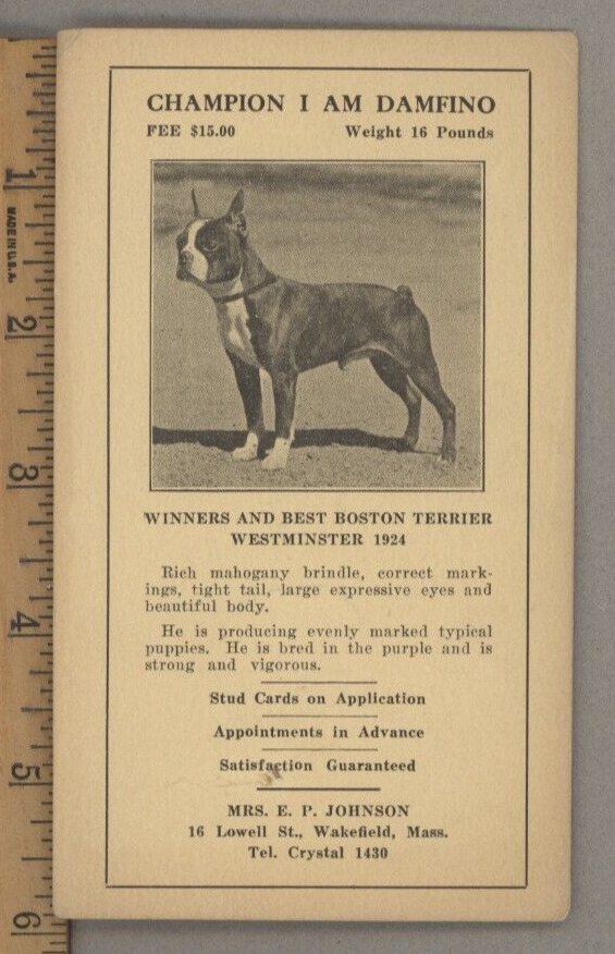 Wakefield MA Boston Terrier Breeder Stud Fee Card Pedigree Westminster 1924