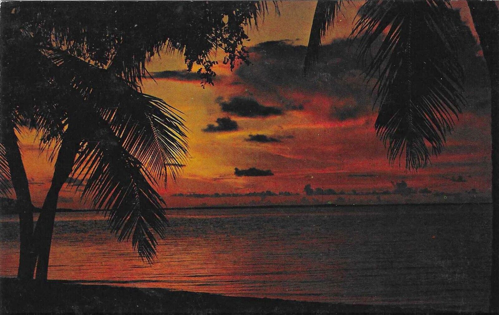 Vintage Florida Chrome Postcard Brilliant Sunset on the Seacoast Palm Trees