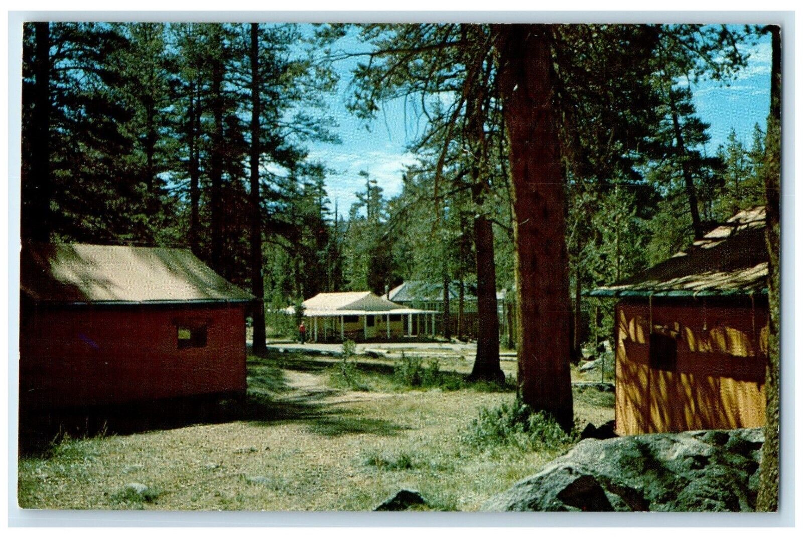 c1960 Yosemite National Park Tuolumne Meadows Lodge California Vintage Postcard
