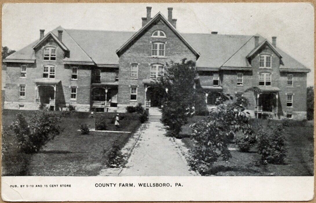 Wellsboro County Farm PA Pennsylvania Postcard