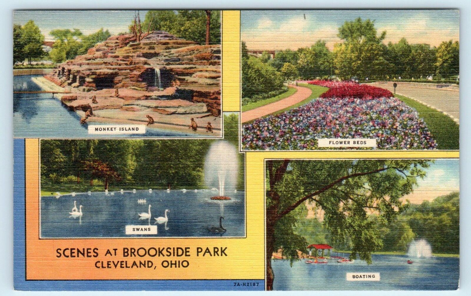 CLEVELAND, OH Ohio~ BROOKSIDE PARK ZOO - Multiview Linen c1950s  Postcard
