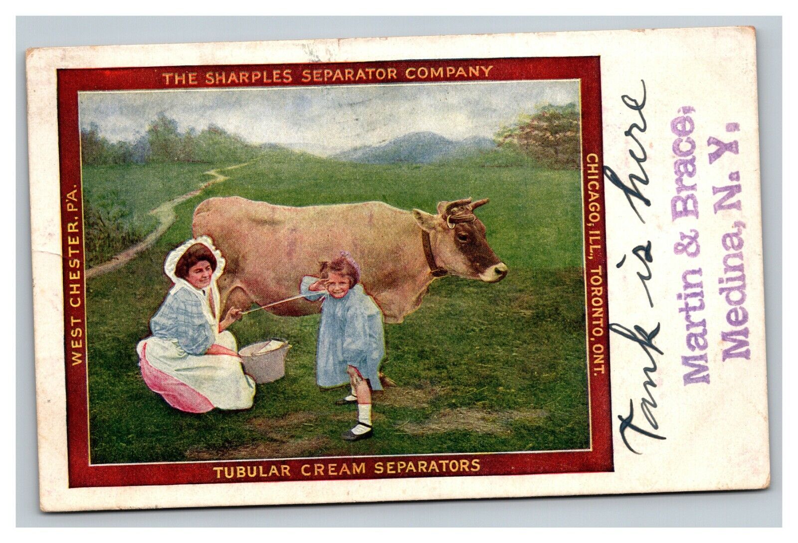Vintage 1909 Advertising Postcard Sharples Separator Company Tubular Cream Cow