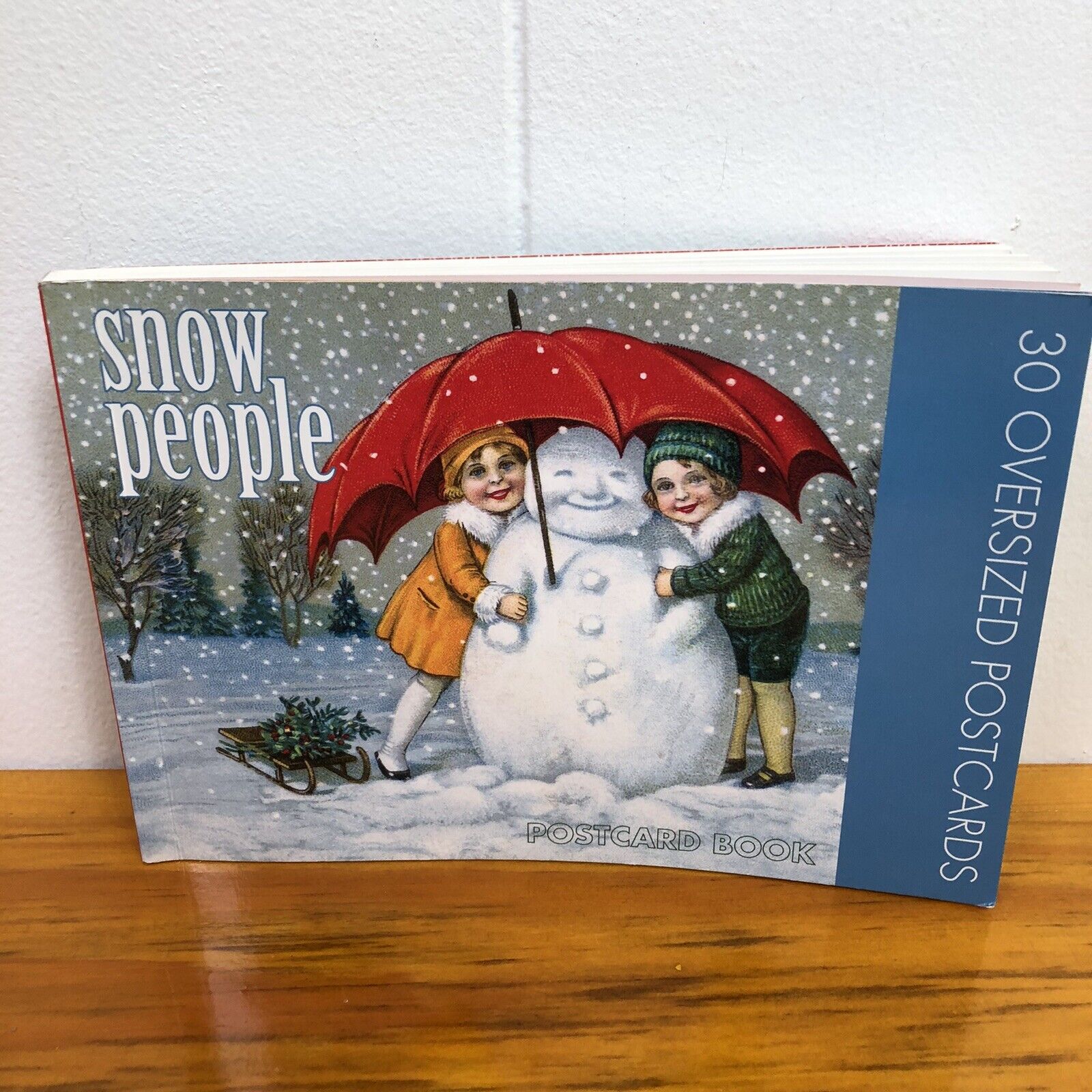 Vintage Postcard Book Snow People Art Set Of 30 By Darling & Company Seattle