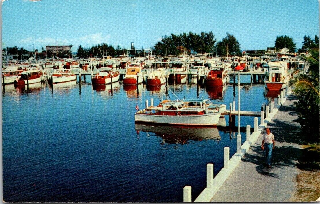 Ft Lauderdale FL Florida Yacht Basin Bahia Mar World Largest Vintage Postcard