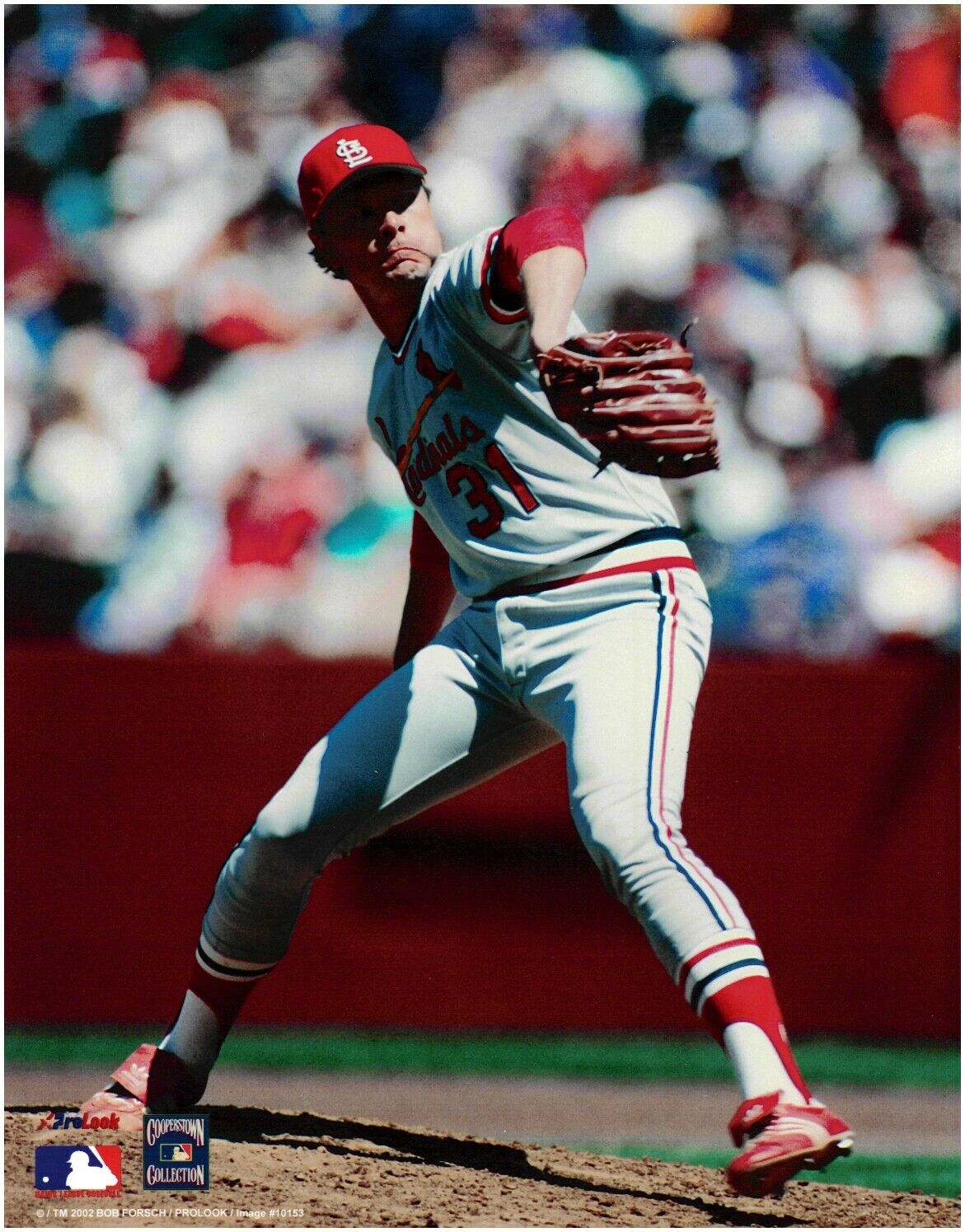 Bob Forsch St. Louis Cardinals LICENSED 8x10 Baseball Photo 