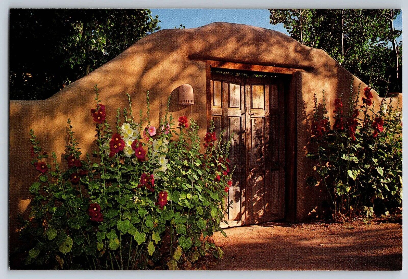 Postcard Double Wooden Doors To a Private Residence New Mexico   D-21