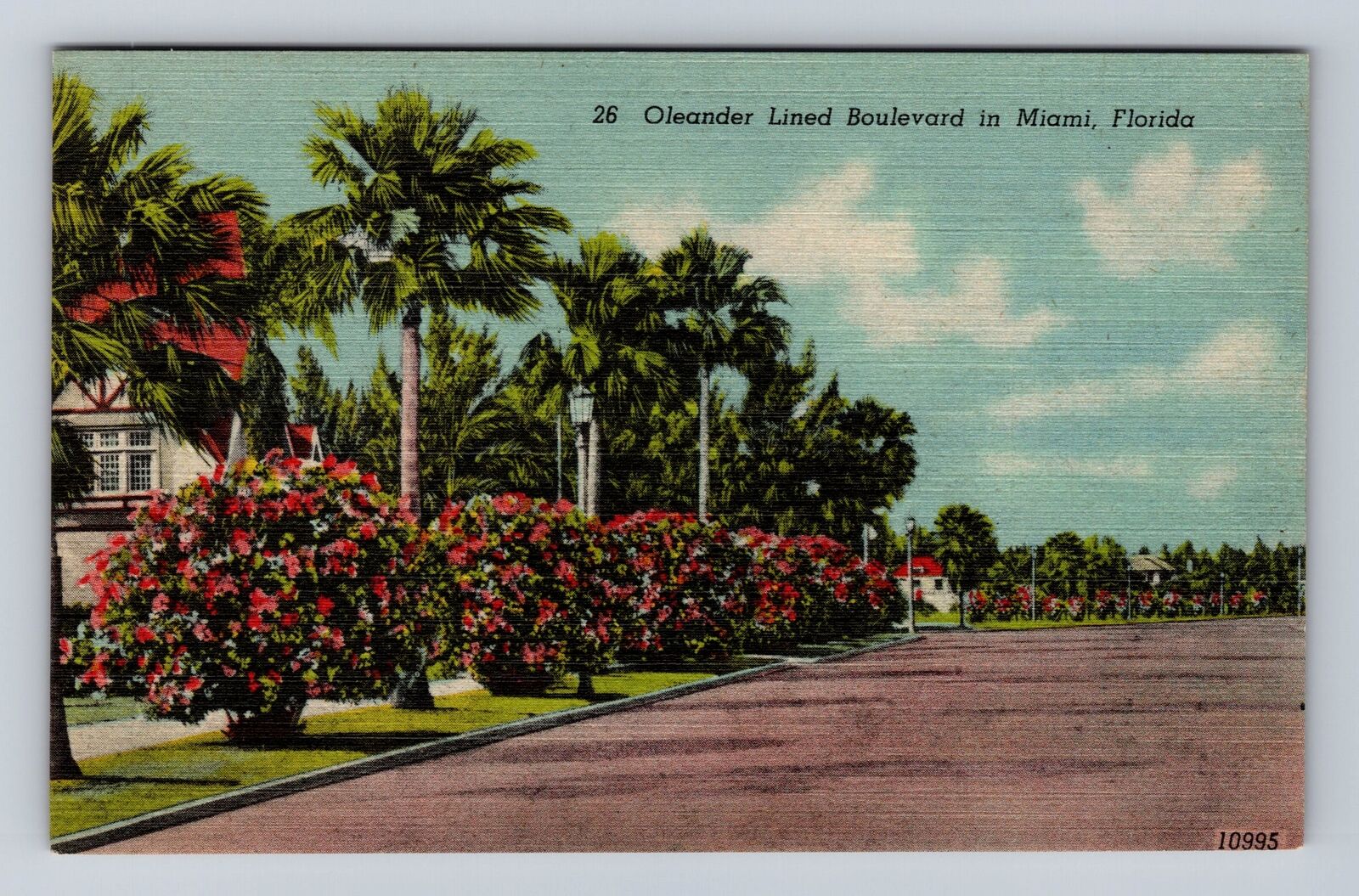 Miami FL-Florida, Oleander Lined Boulevard, Antique, Vintage Souvenir Postcard
