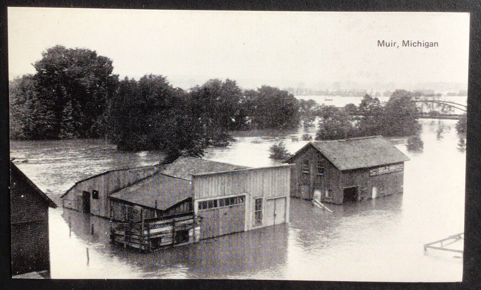 Muir Michigan Flood Scene Buildings Postcard