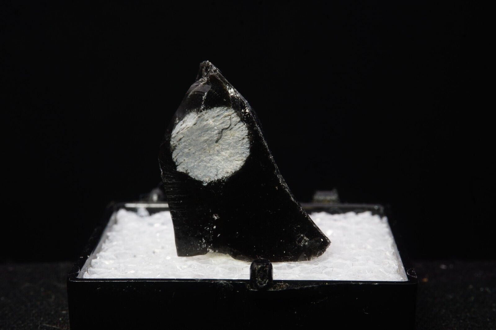 Cristobalite in Obsidian / Thumbnail Mineral Specimen / Black Rock Desert, Utah