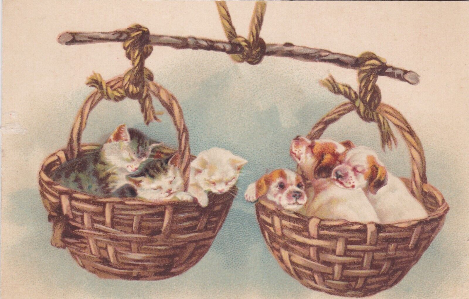 Three Puppies & Three Kittens Embossed Postcard 1910\'s