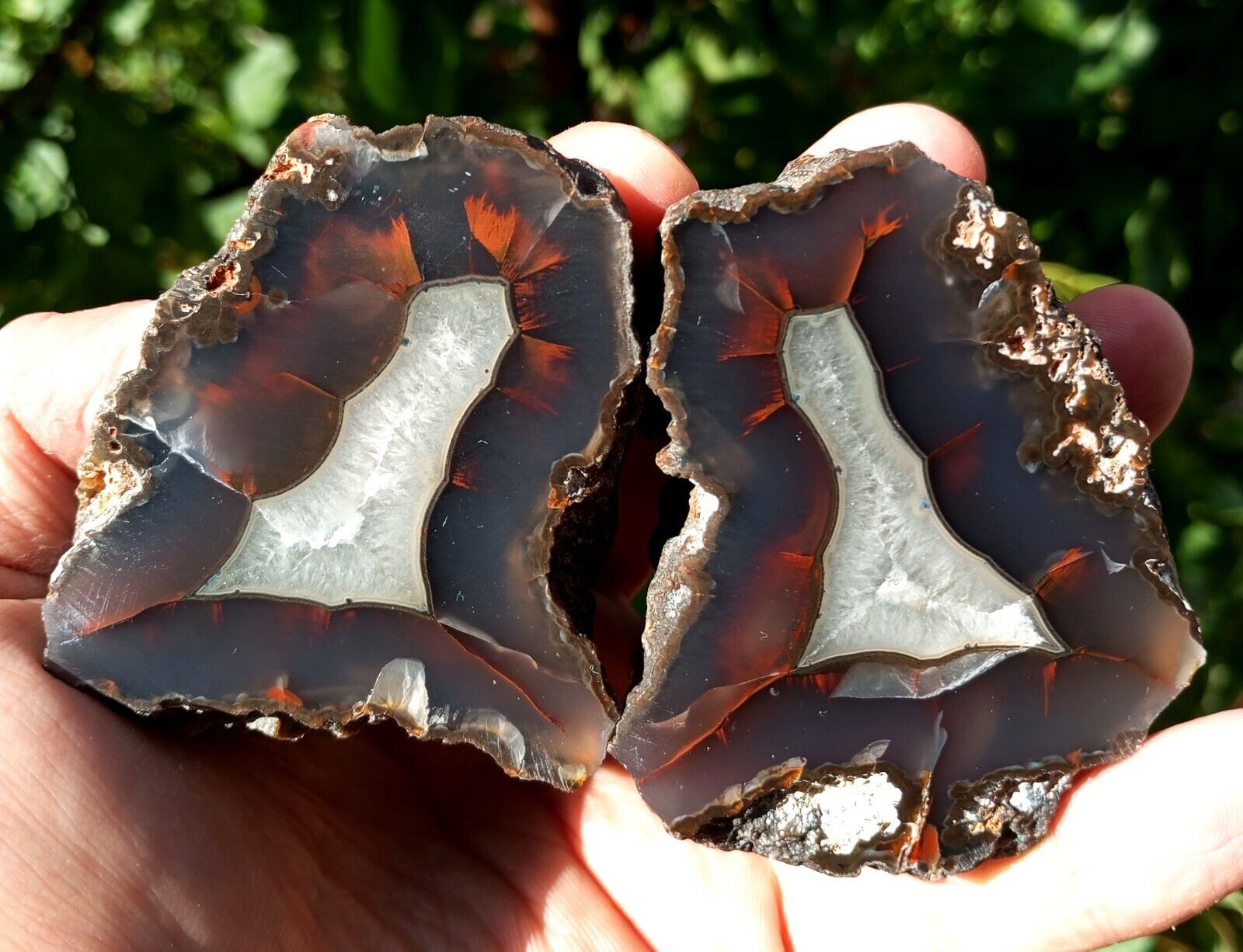 Mirror Polished Extremely Rare Turkish Red Fox Agate Pair Uv Fluorescent