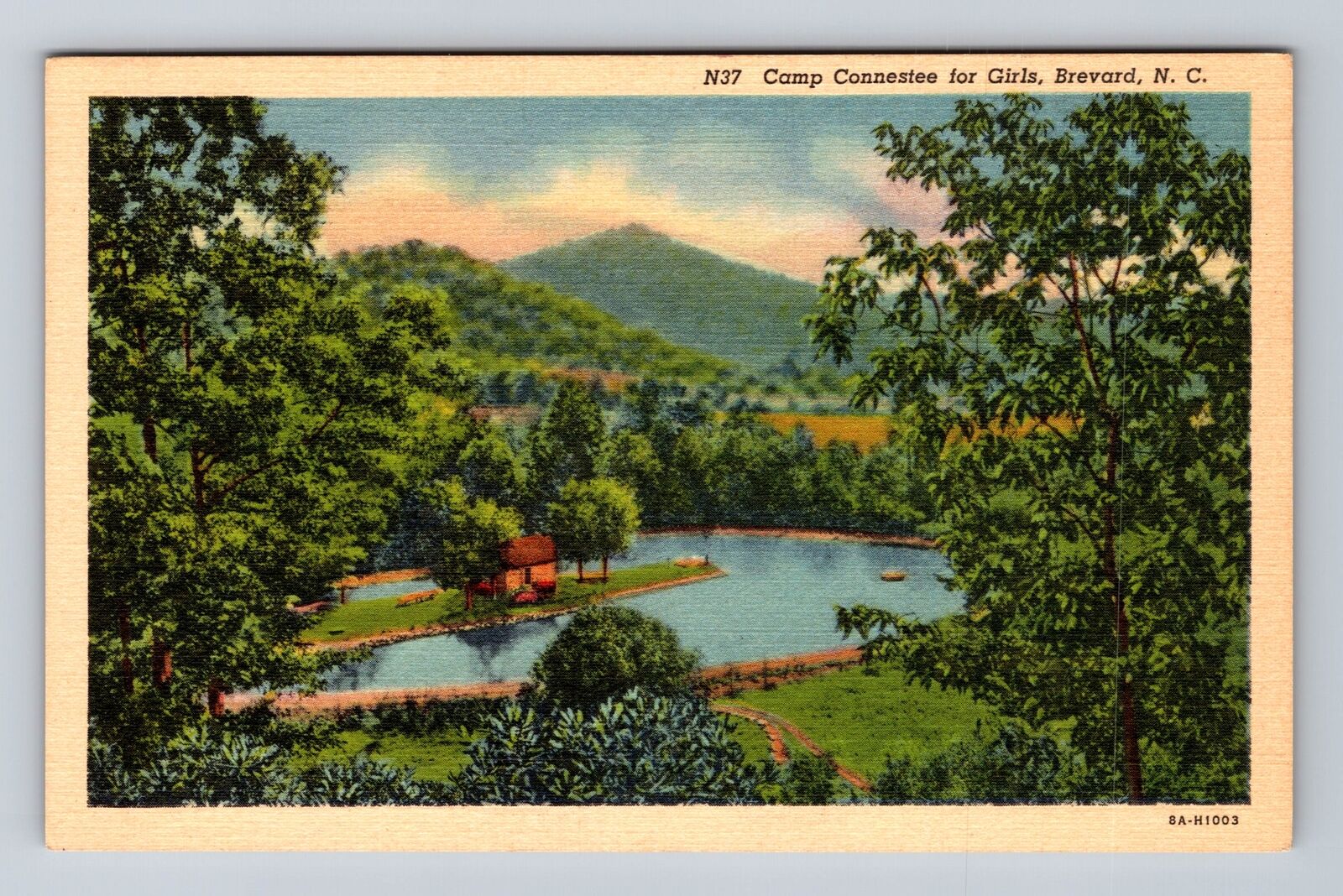 Brevard NC-North Carolina, Aerial Camp Connestee For Girls, Vintage Postcard