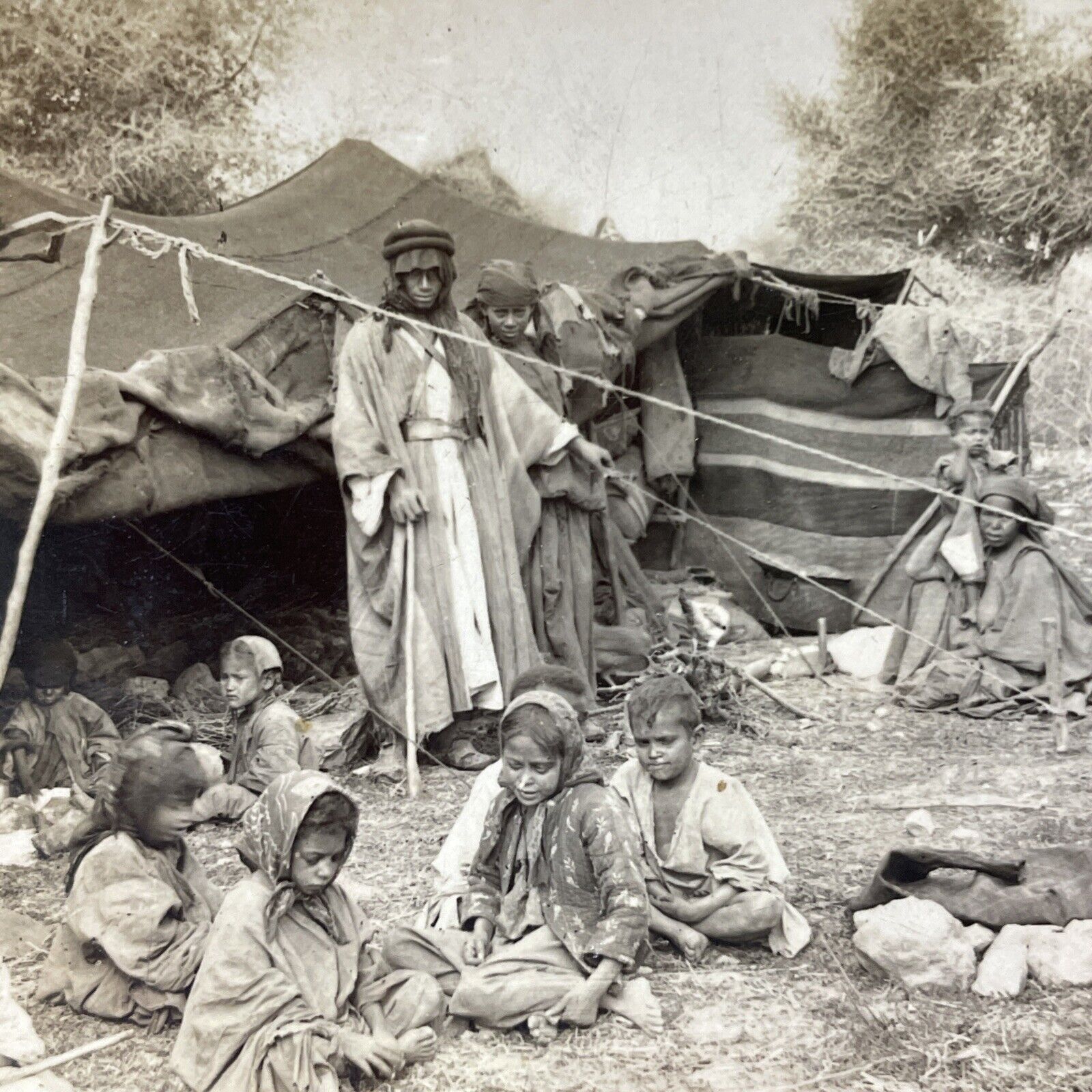 Antique 1909 Bedouin Nomads In Palestine Stereoview Photo Card V3319
