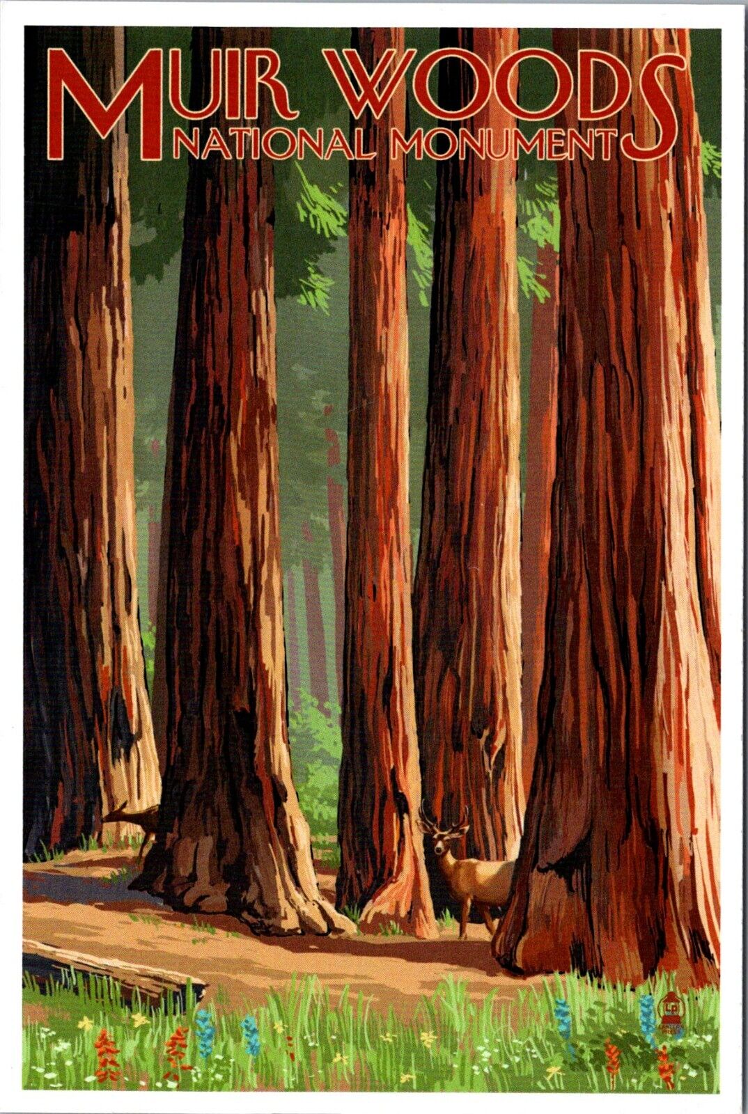 Muir Woods National Monument California Deer & Grove Lantern Press postcard