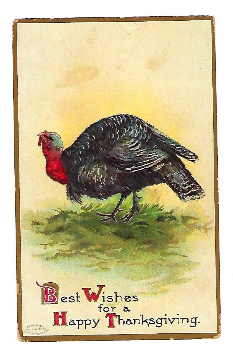 c1908 Int\'l Art #51496 Thanksgiving Postcard Wild Turkey - Embossed