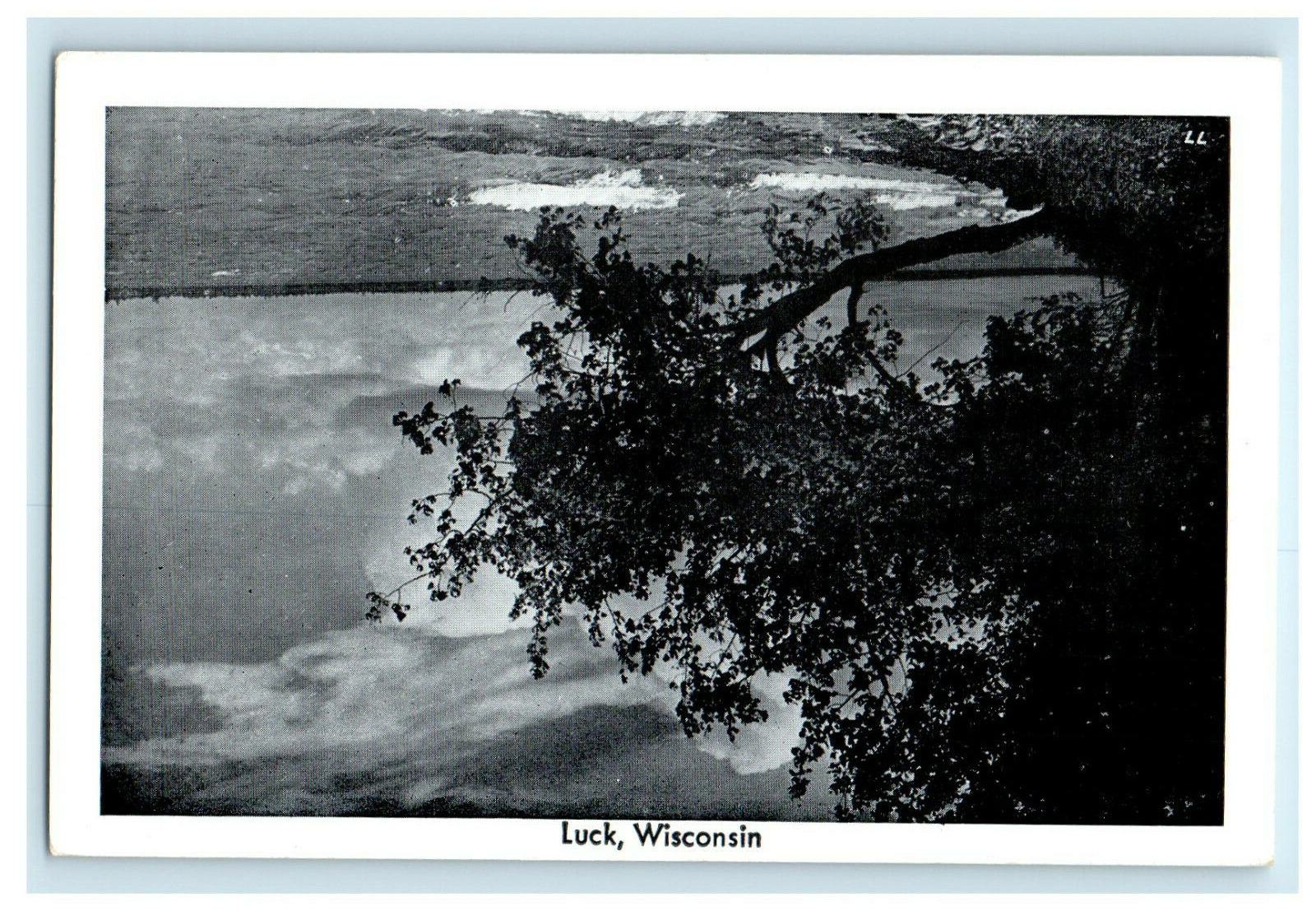 c1950s View of Tree and Sea, Luck Wisconsin WI Unposted Vintage Postcard
