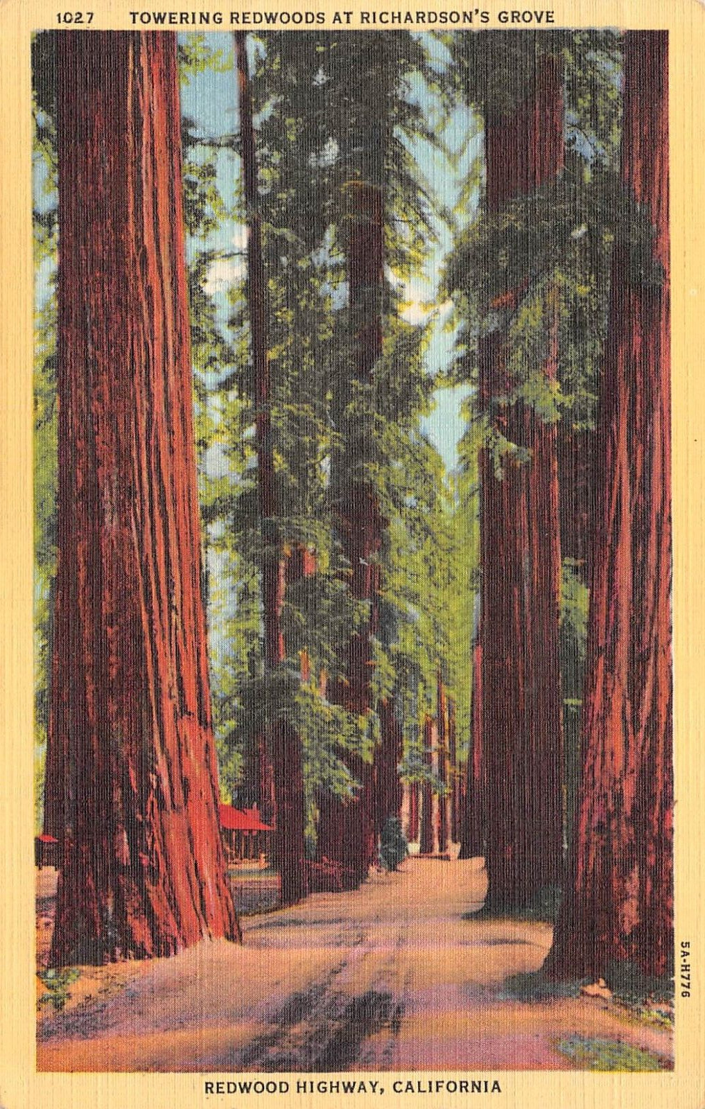 D2154 Towering Redwoods, Richardson's Grove, Redwood Hwy. CA 1935 Teich Linen PC