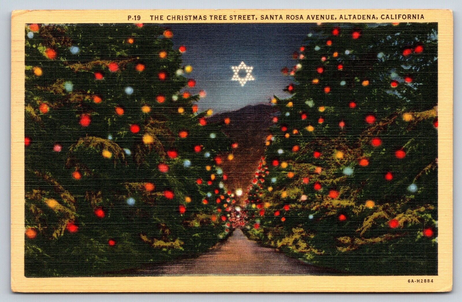 Christmas Tree Street, Santa Rosa Ave, Altadena, California Vintage Postcard