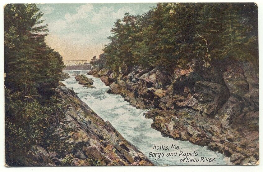 Hollis ME Gorge and Rapids Saco River Maine Postcard