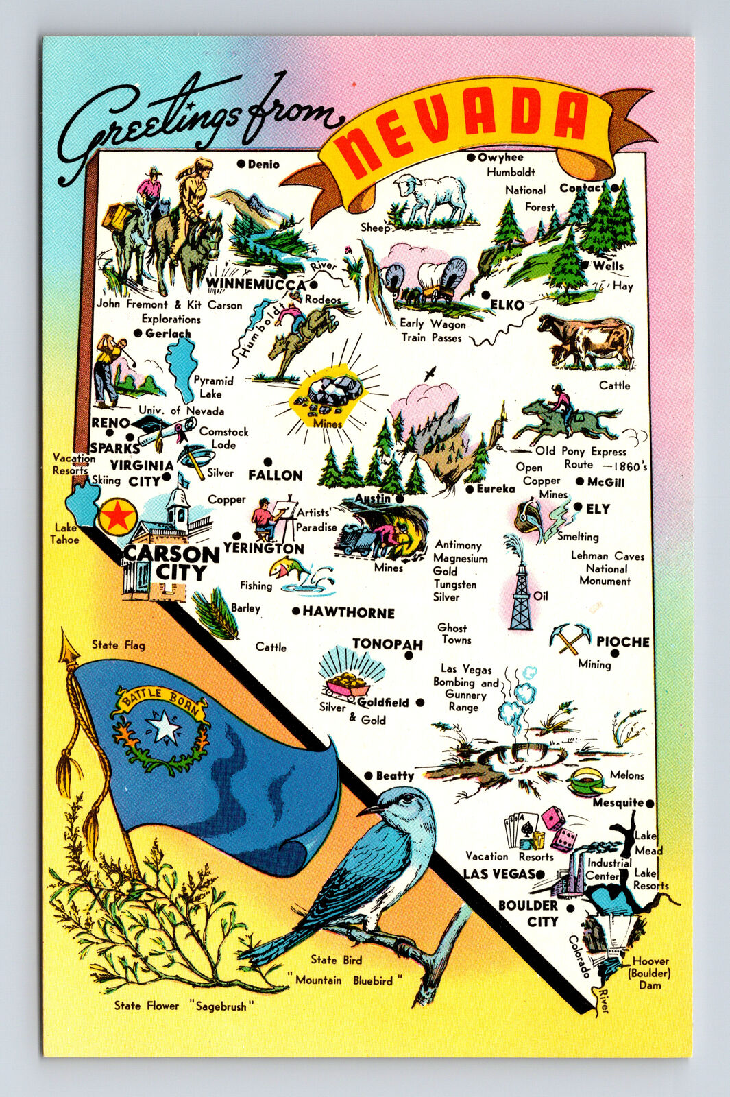 Pictorial Tourist Map State Flag Bird Flower Greetings from Nevada NV Postcard