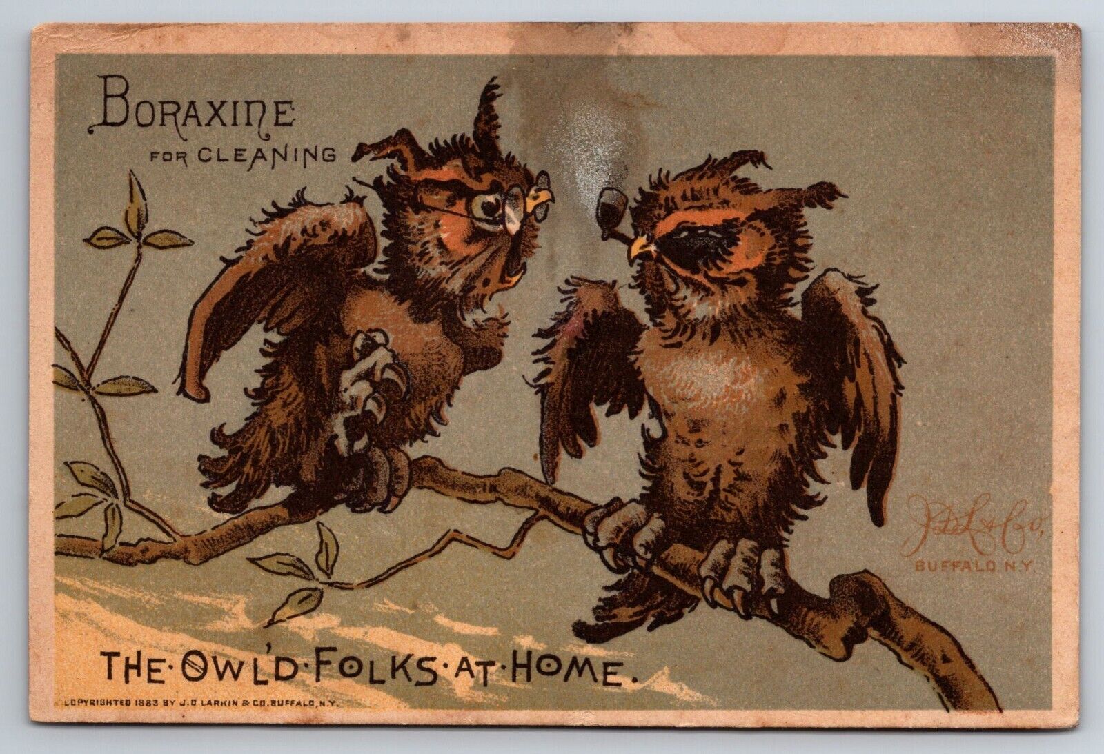 1880s Victorian Trade Card Owl Smoking Pipe Borazine Anthropomorphic ~11739