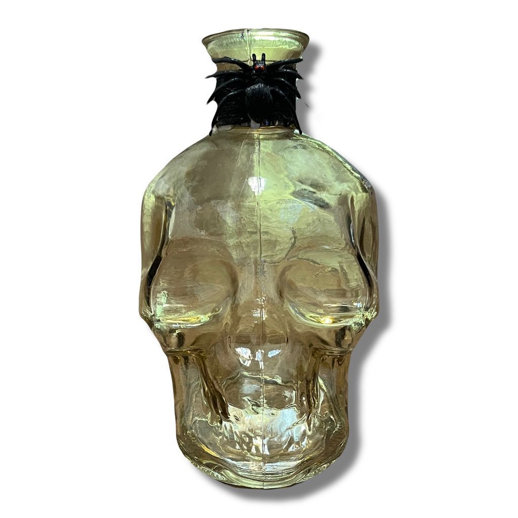 Glass Skull Head Bottle Jar Halloween Potion Decanter Clear Decor