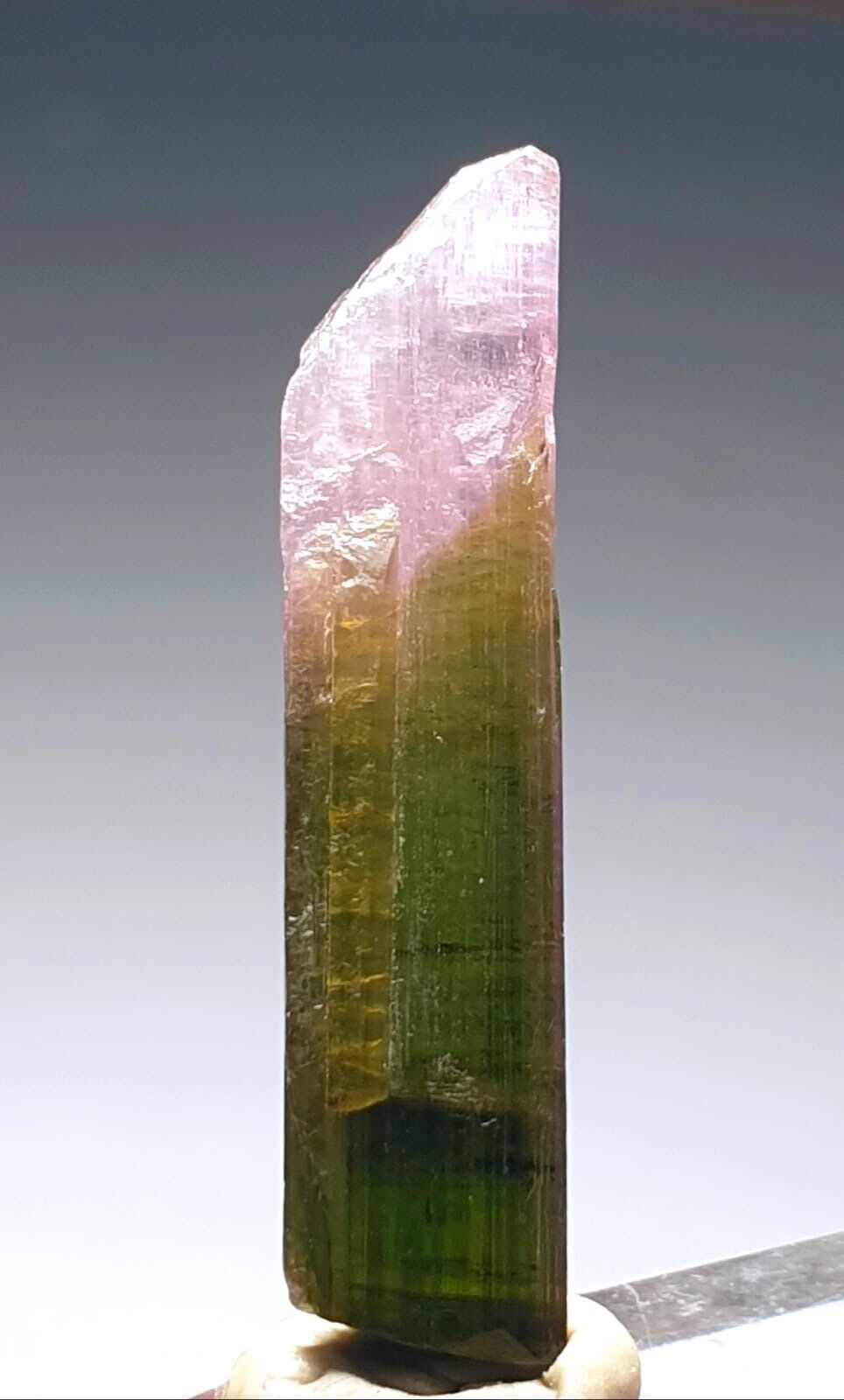 Top Bi-Colour Tourmaline Crystal From Poprook Mine.