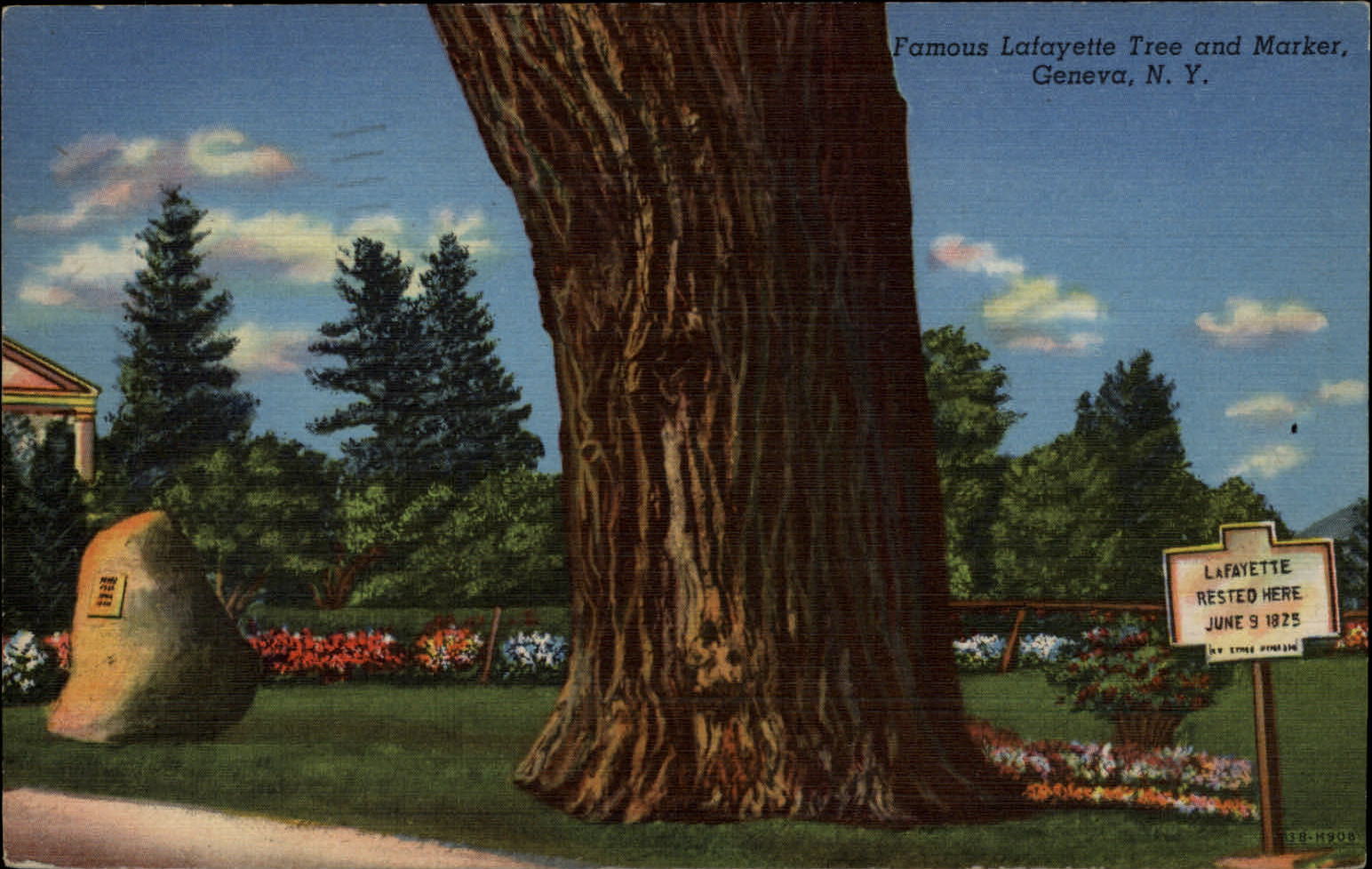 Lafayette Tree and Marker Geneva New York ~ postcard sku919
