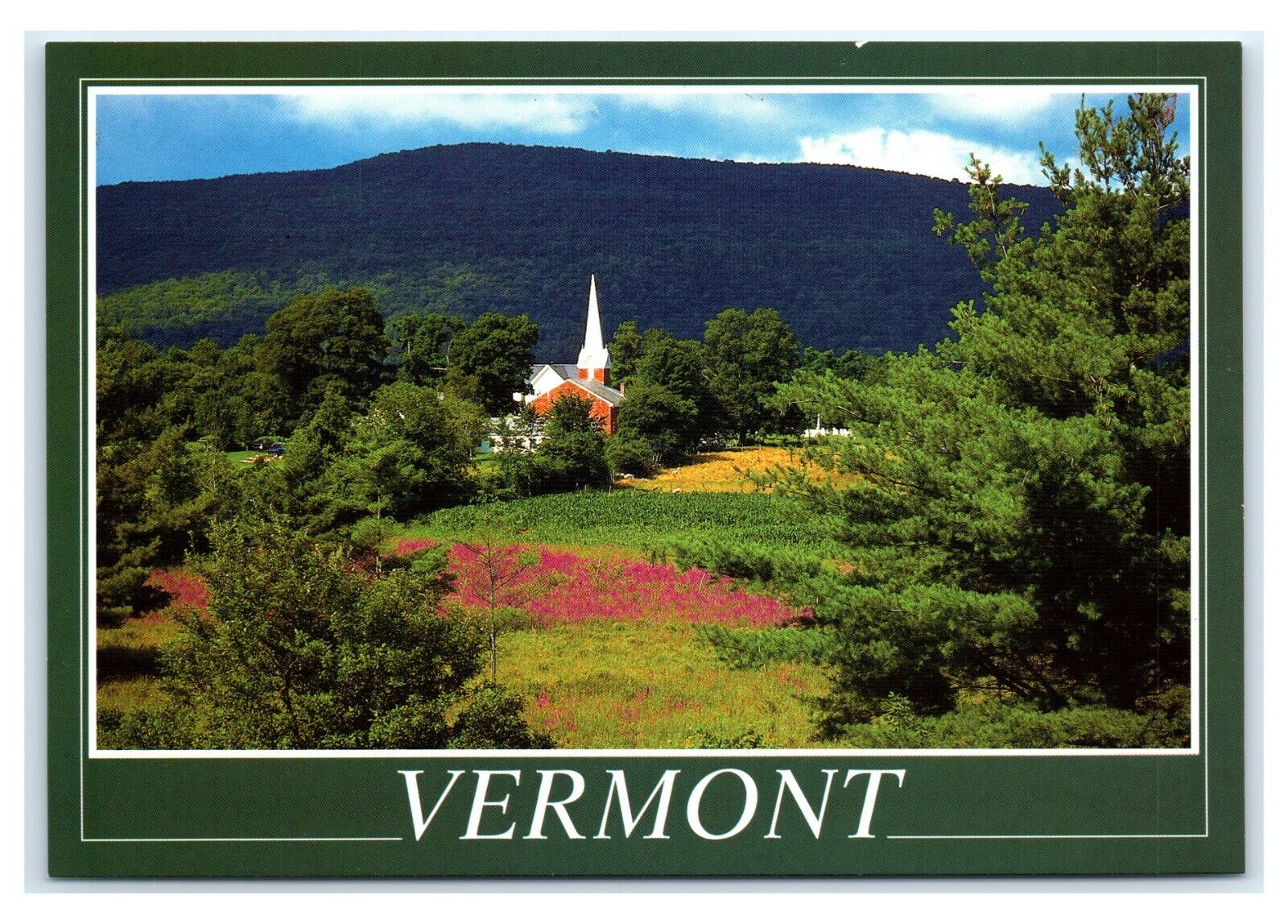 Postcard Picturesque Vermont VT - Purple Wildflowers Green Country Side Farm K75
