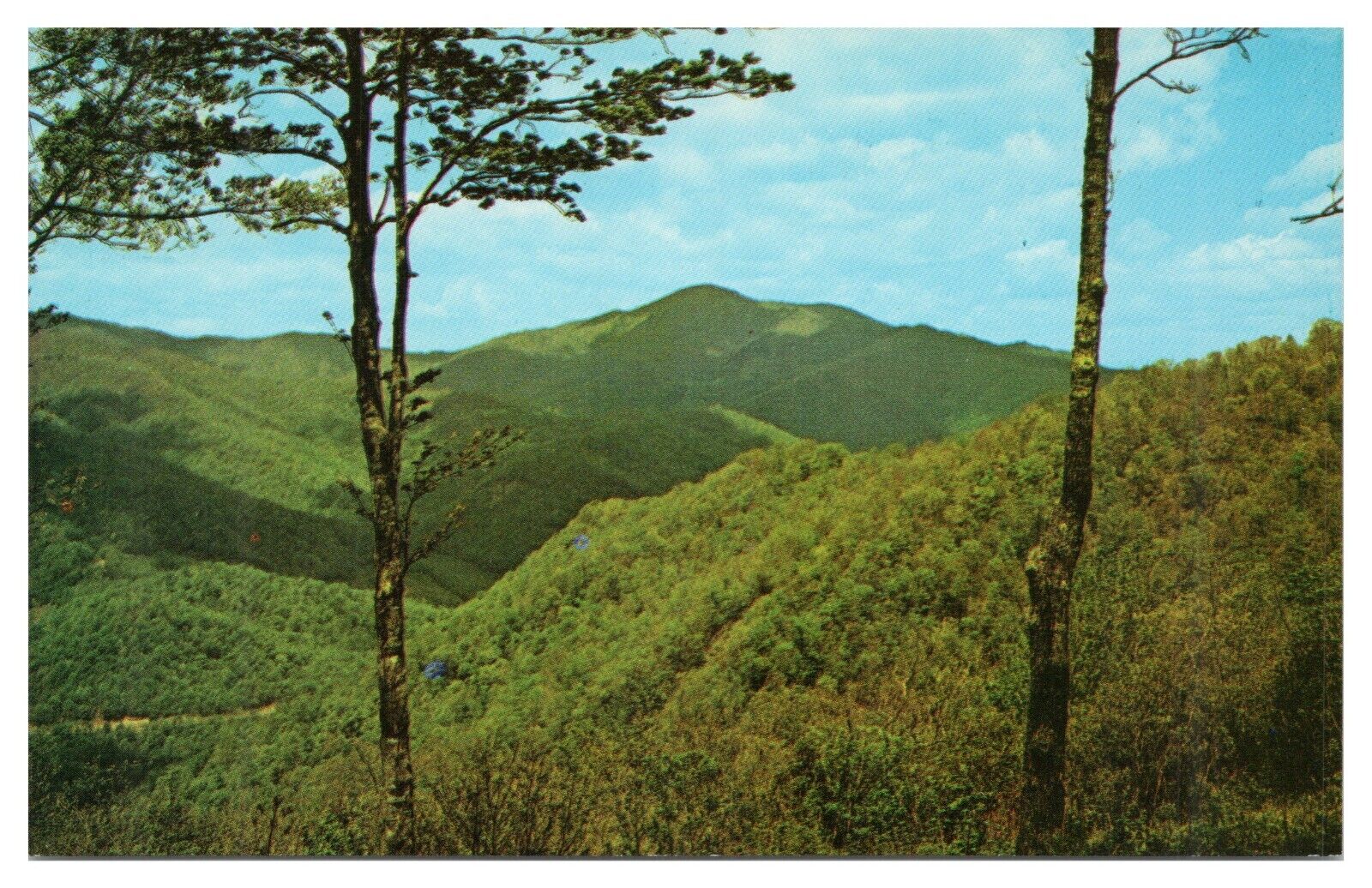 Vintage Cold Mountain Pisgah National Forest NC Postcard Unposted Chrome