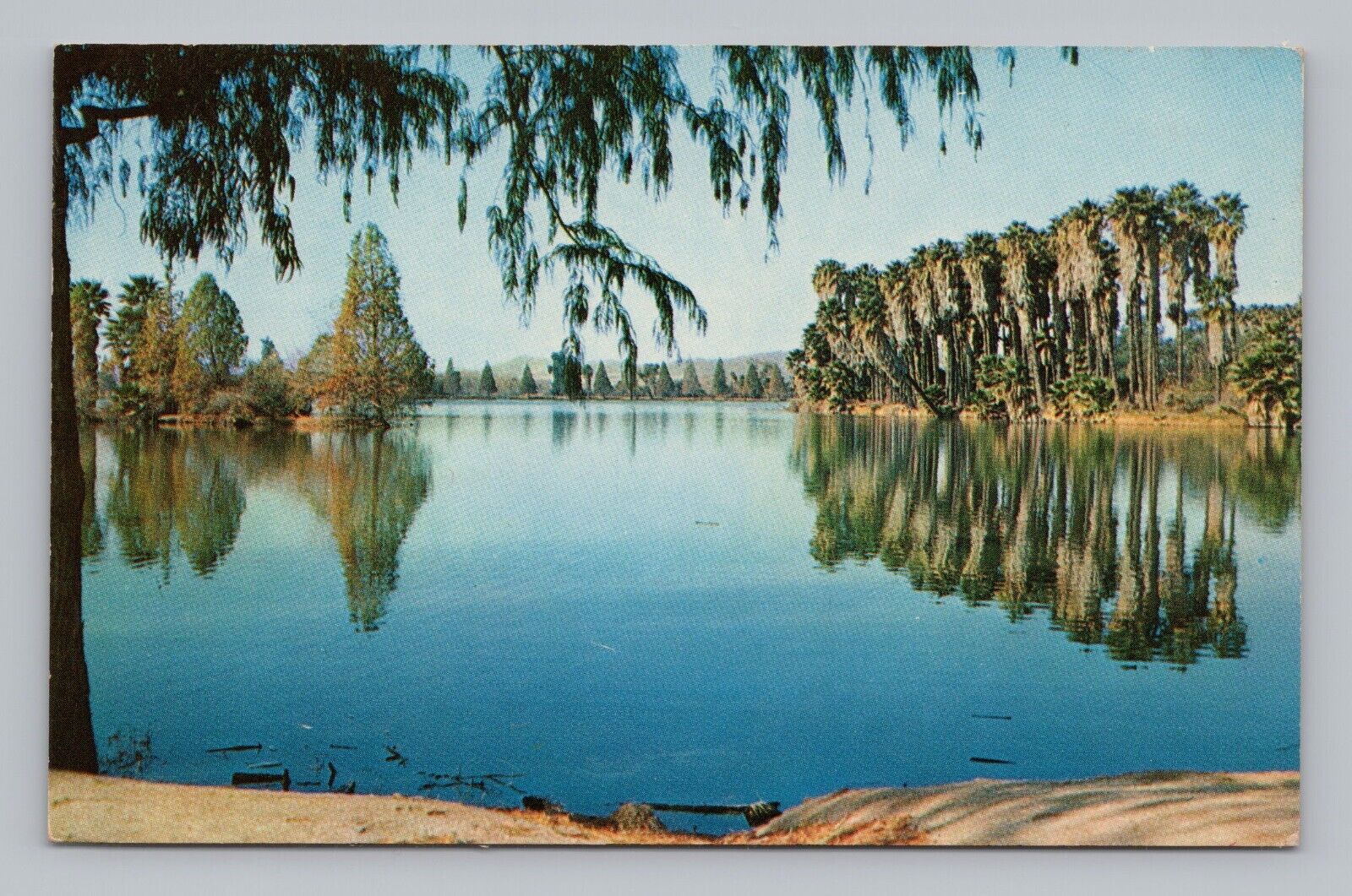 Postcard Lake Evans Fairmont Park Riverside California c1966