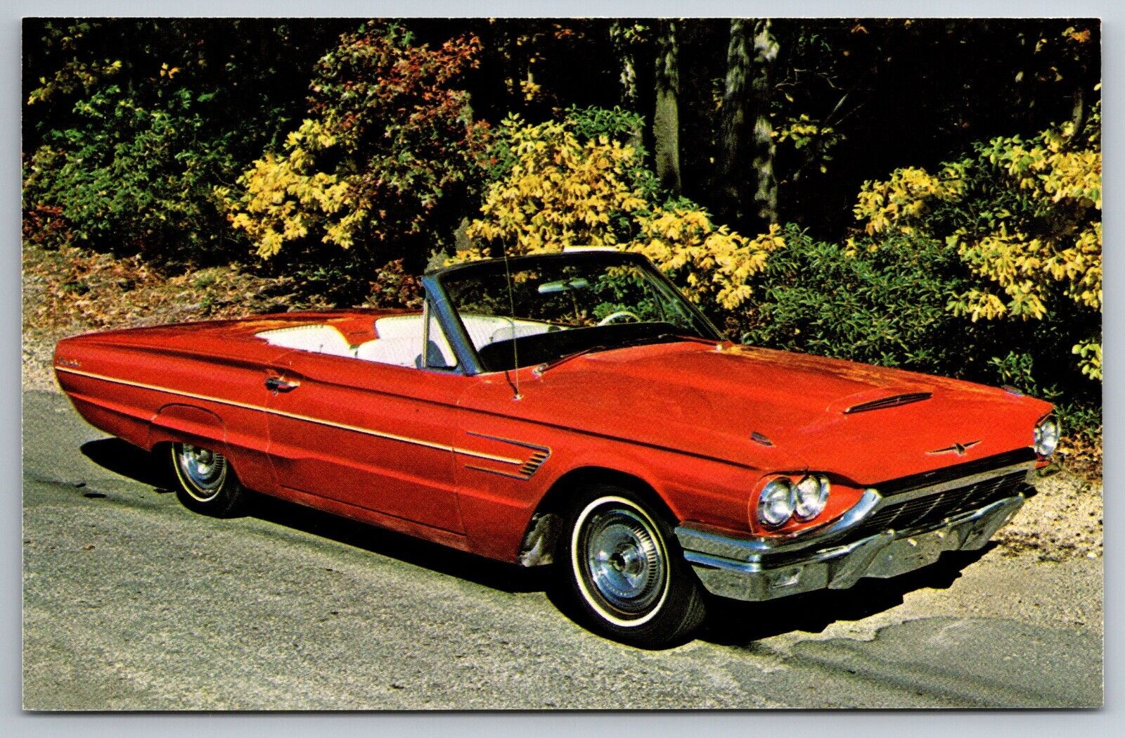 1965 Ford Thunderbird Ward Collection Convertible Postcard