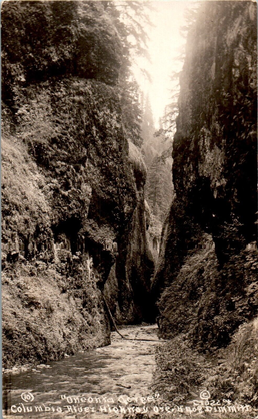 Oneonta Gorge, Columbia River Highway, Oregon OR RPPC Postcard