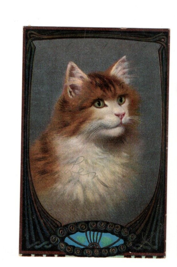 Handsome Cat, Antique Pc, 1907, C1967