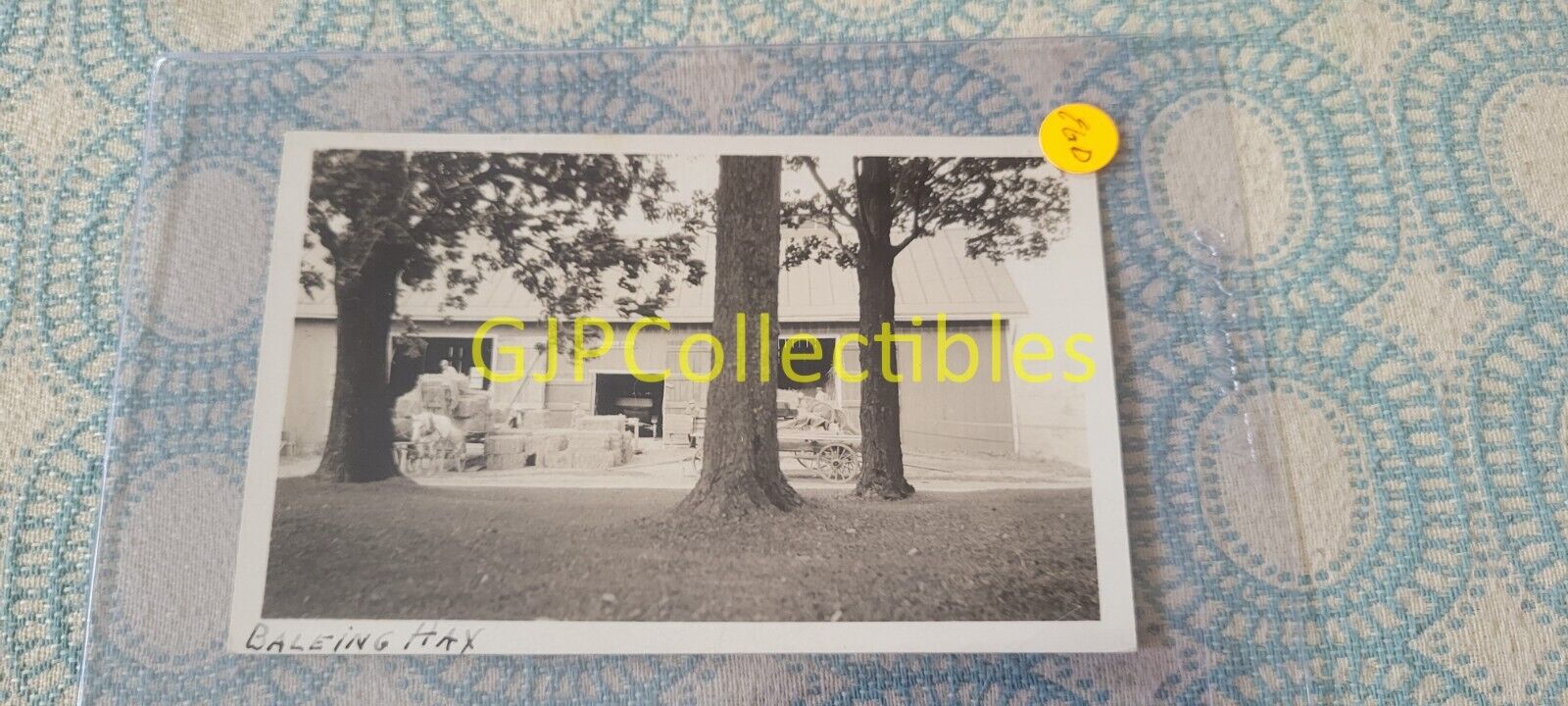EGD VINTAGE PHOTOGRAPH Spencer Lionel Adams SKANEATELES NY BALEING HAY