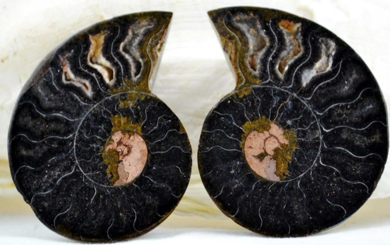 3619e Cut Split PAIR Ammonite Deep Crystal Cavity 110myo Fossil 54mm LARGE 2.1