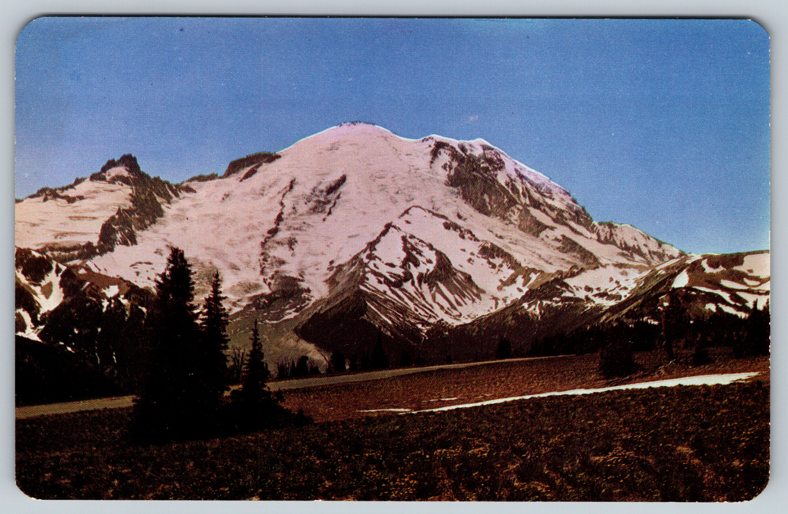 c1960s Mount Rainier Yakima Park Mountain Vintage Postcard