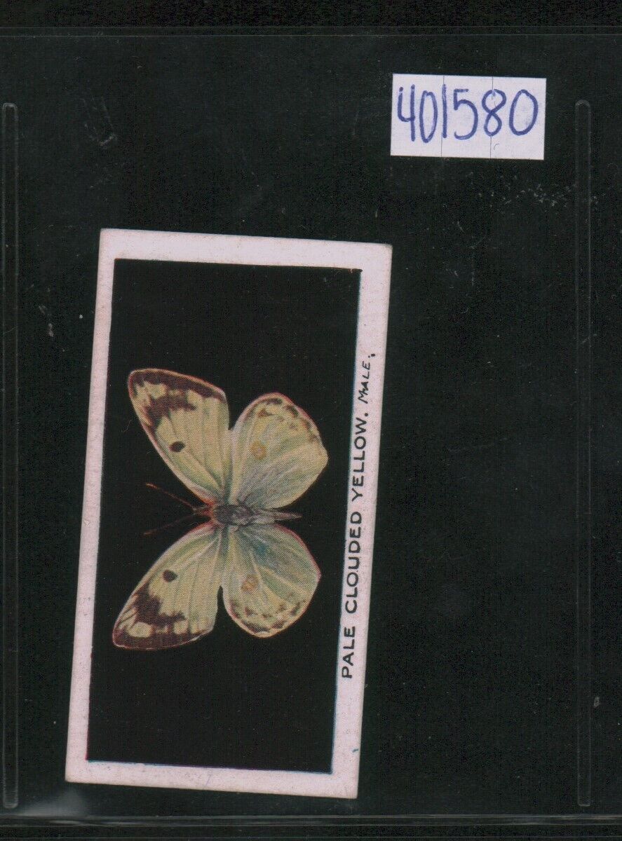 1935 Abdulla & Co. British Butterflies - #9 Pale Clouded Yellow (401580)
