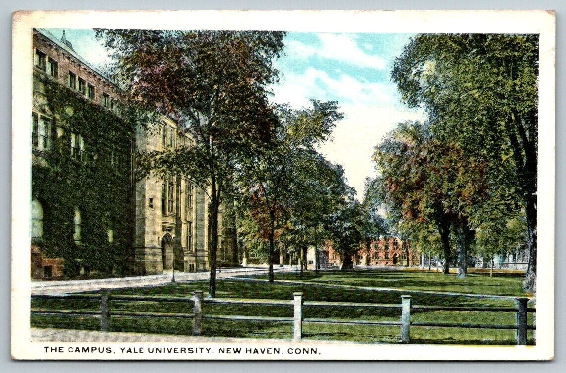 Yale University  New Haven  Connecticut Postcard