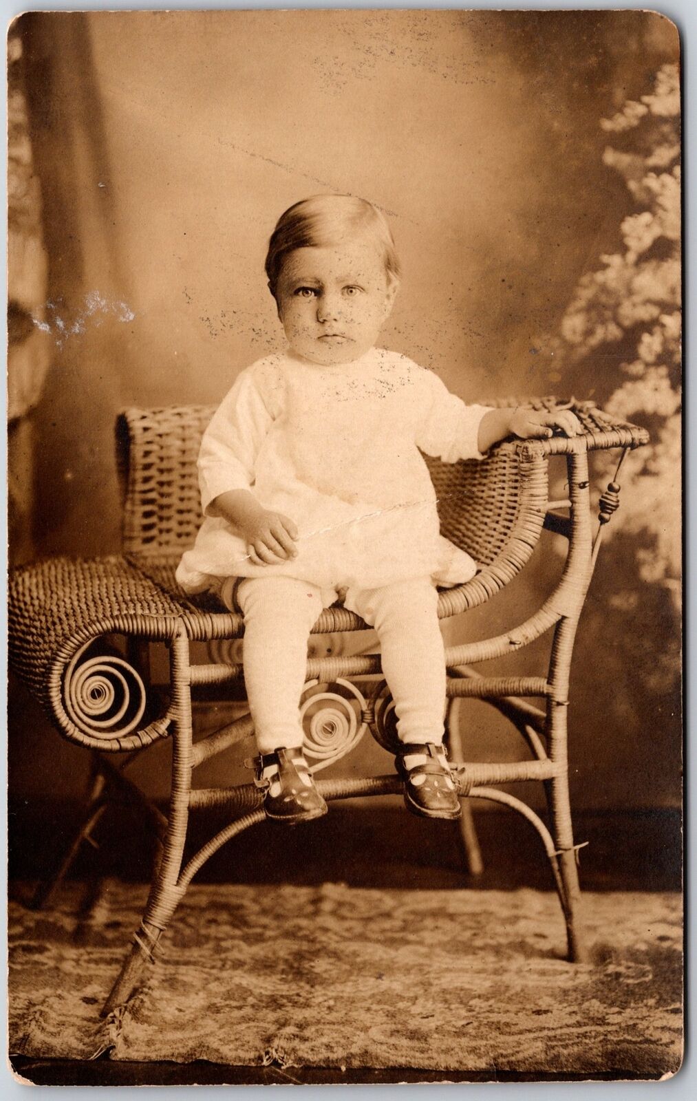 Infant Baby Child Photograph White Dress on Rattan Chair Postcard